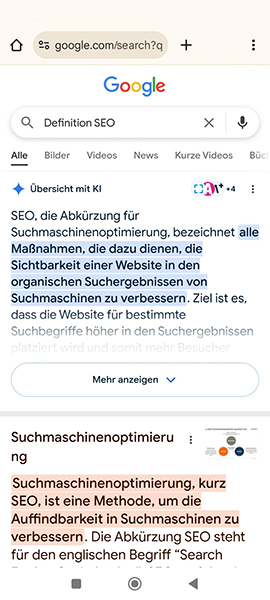 So funktioniert Google: Google AI Overviews