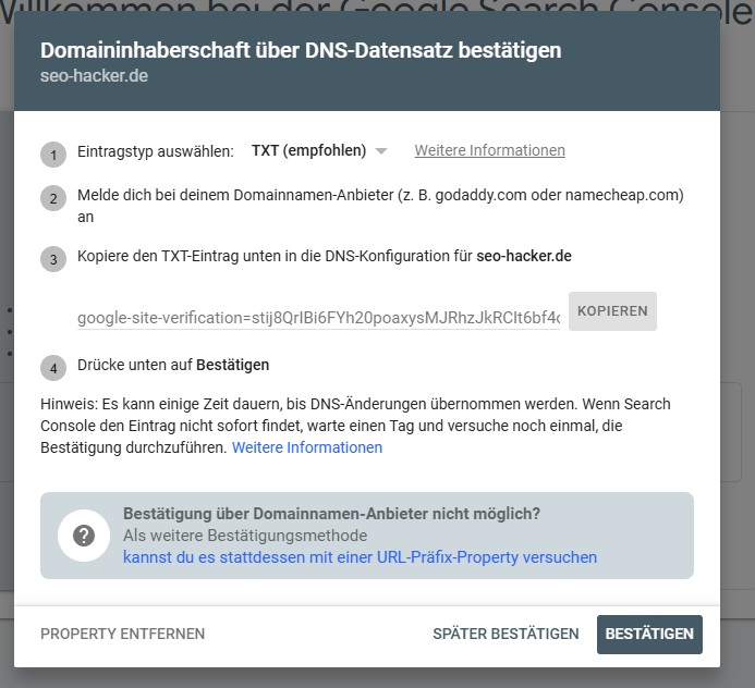 Google Search console Schritt 2